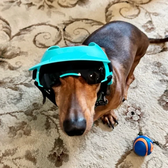 Small Dog Hat and Goggles Set Adjustable Sun Hat UV Protection Puppy Sunglasses - Picture 4 of 11